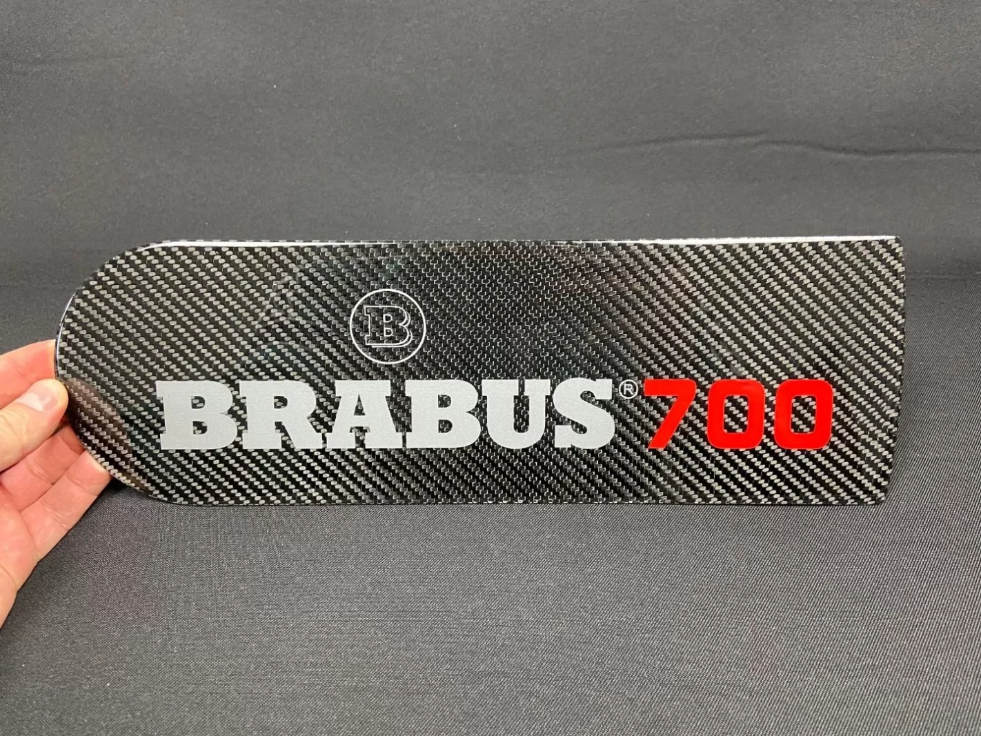  - Emblems - Carbon fiber rear spare wheel plate's emblem insertion for Mercedes-Benz W463 G-Class - 1 - Carbon fiber rear spare